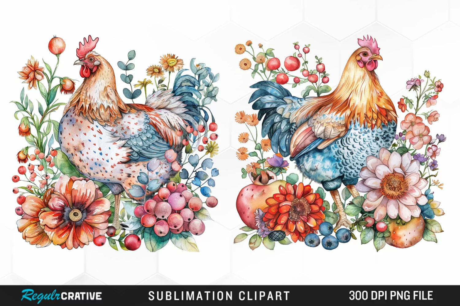 Watercolor Chicken Sublimation PNG Clipart product image 1