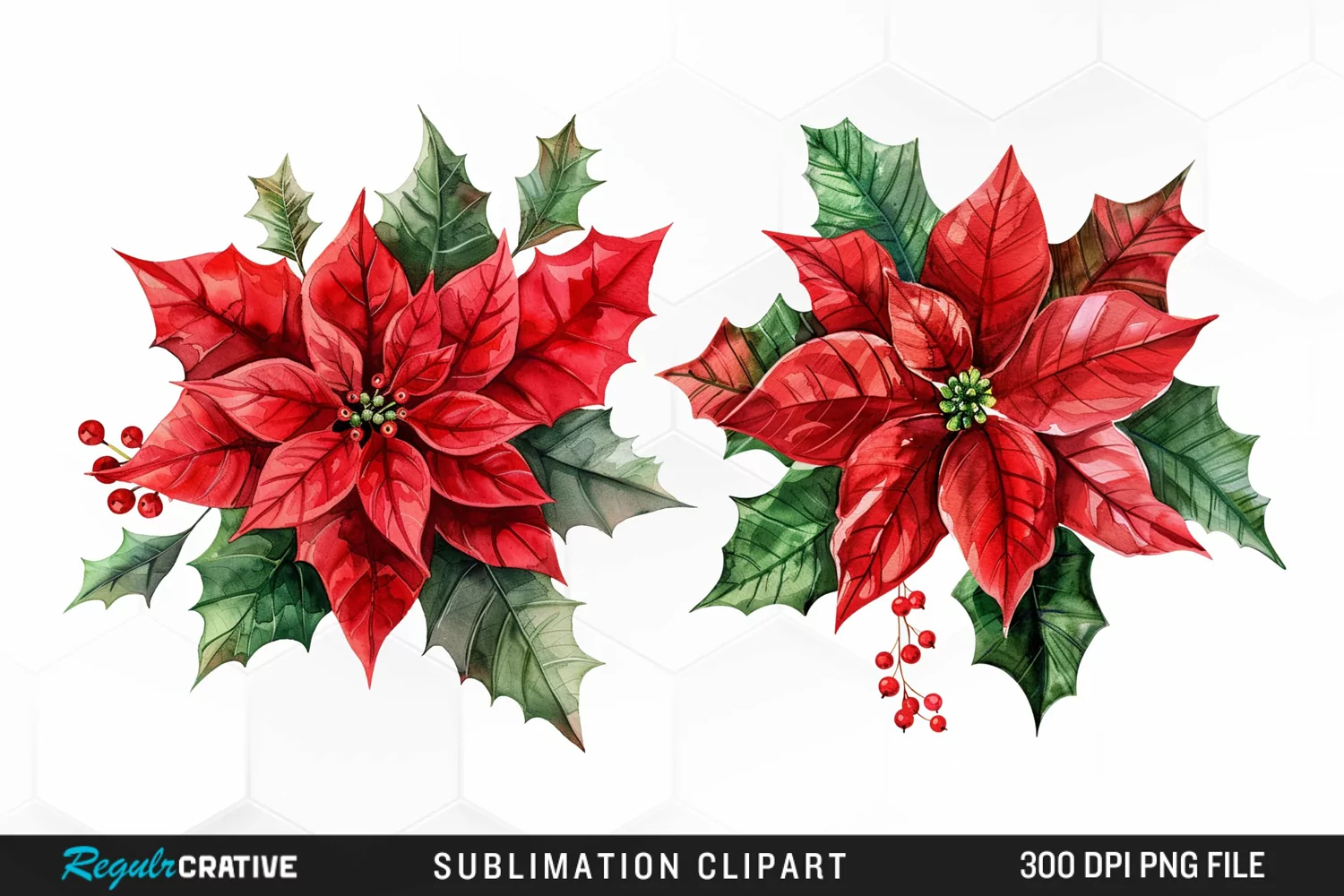 Watercolor Christmas Flower Image Clipart product image 1