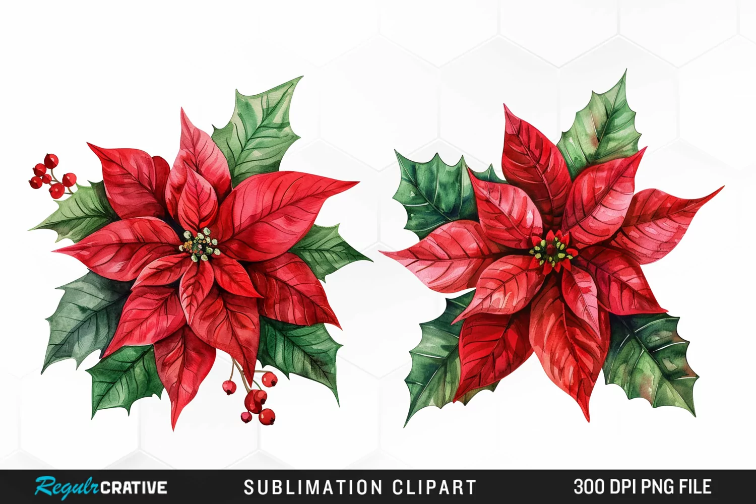 Watercolor Christmas Flower Image Clipart product image 1