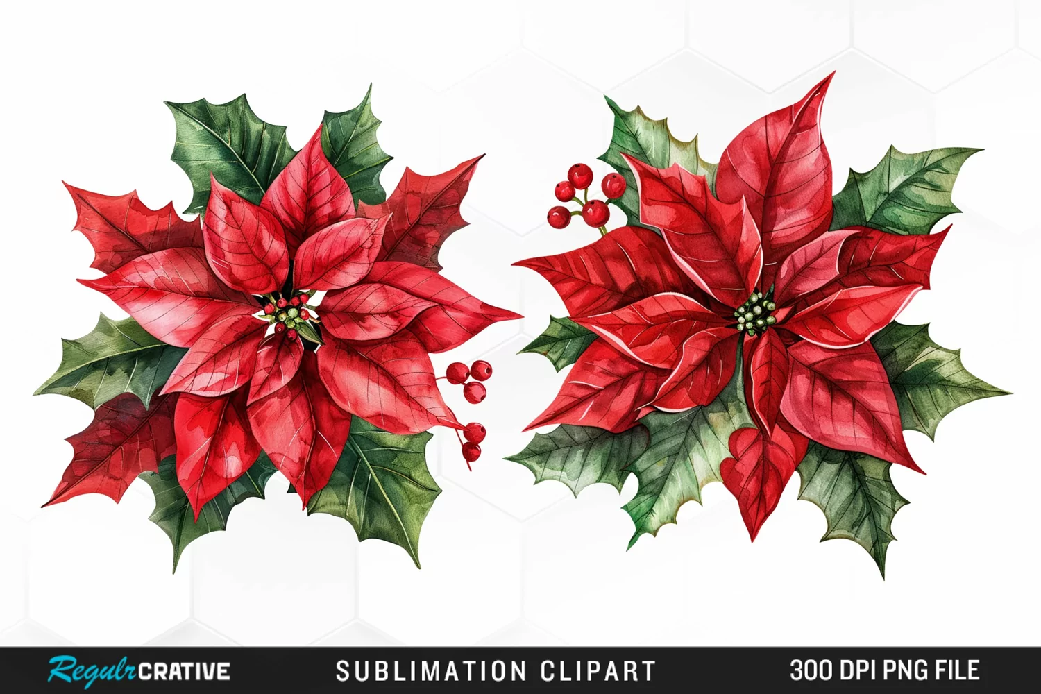 Watercolor Christmas Flower Image Clipart product image 1