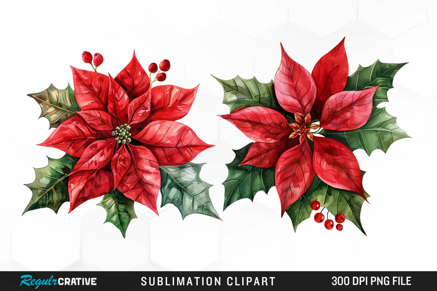 Watercolor Christmas Flower Image Clipart product image 1