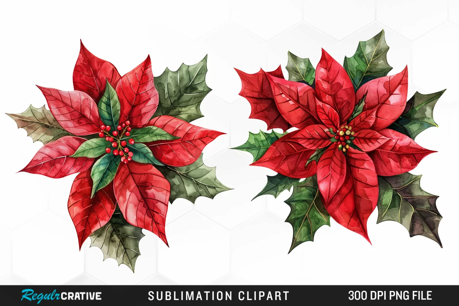 Watercolor Christmas Flower Image Clipart product image 1