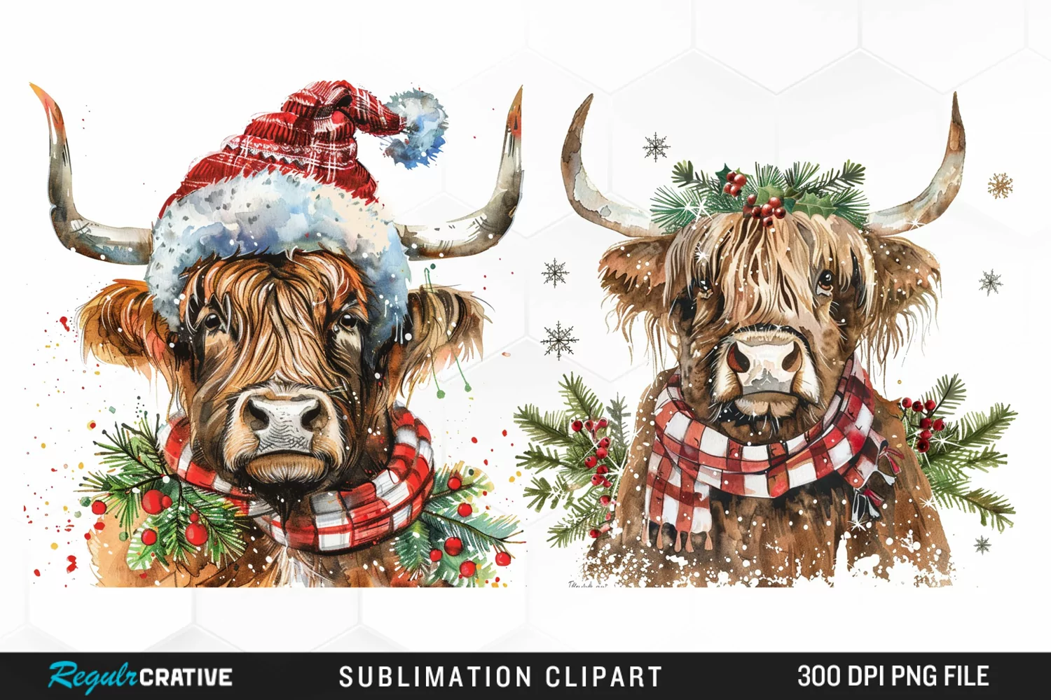 Watercolor Christmas Highland Cow Illustration Clipart product image 1
