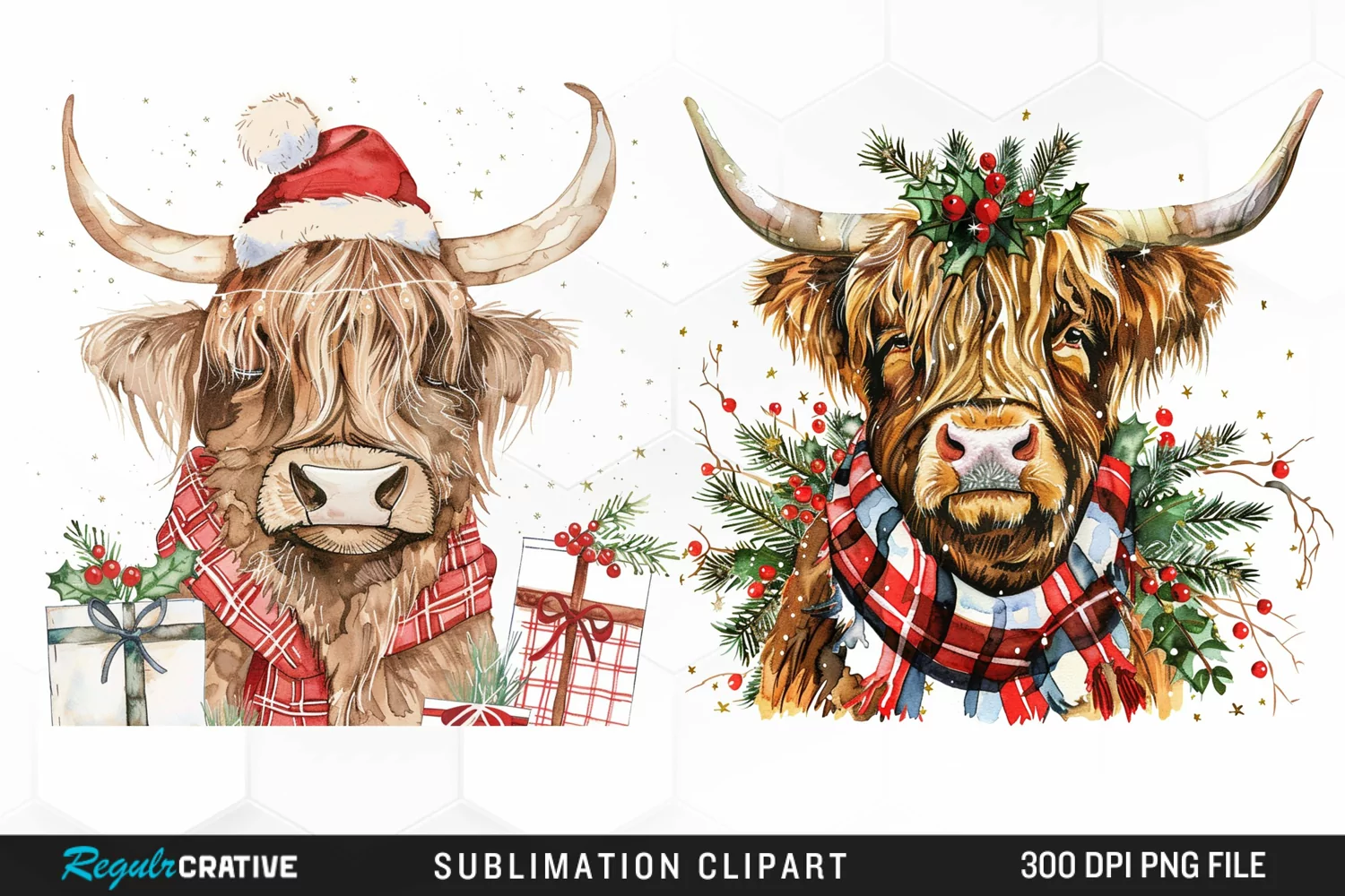 Watercolor Christmas Highland Cow Illustration Clipart product image 1