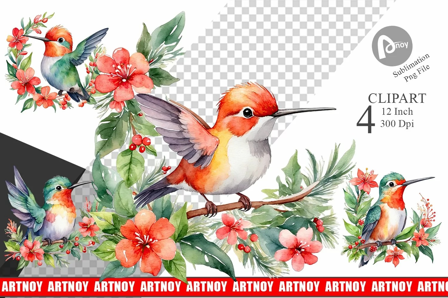 Clipart Watercolor Christmas Hummingbird product image 1
