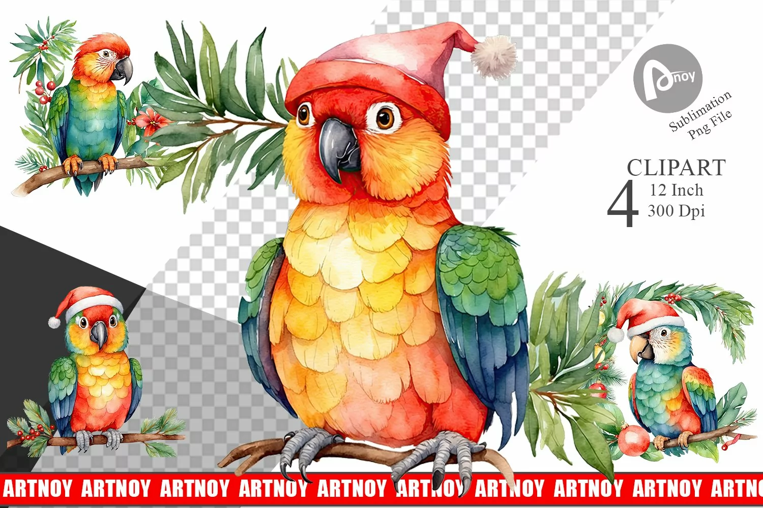 Clipart Watercolor Christmas Parrot product image 1