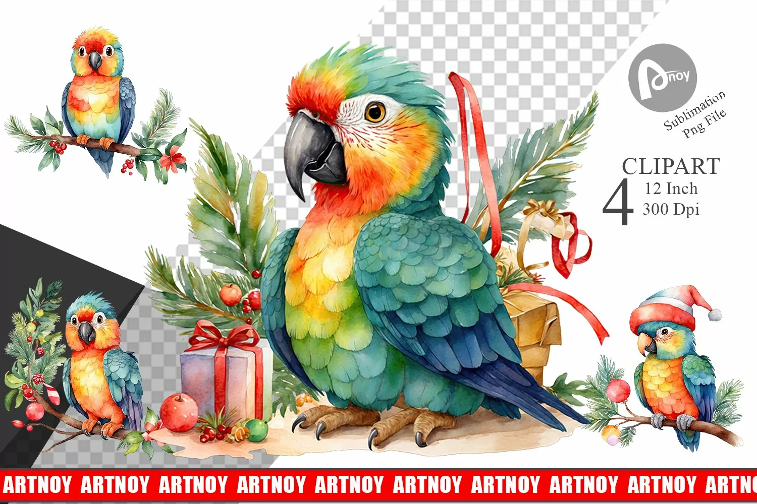 Clipart Watercolor Christmas Parrot product image 1