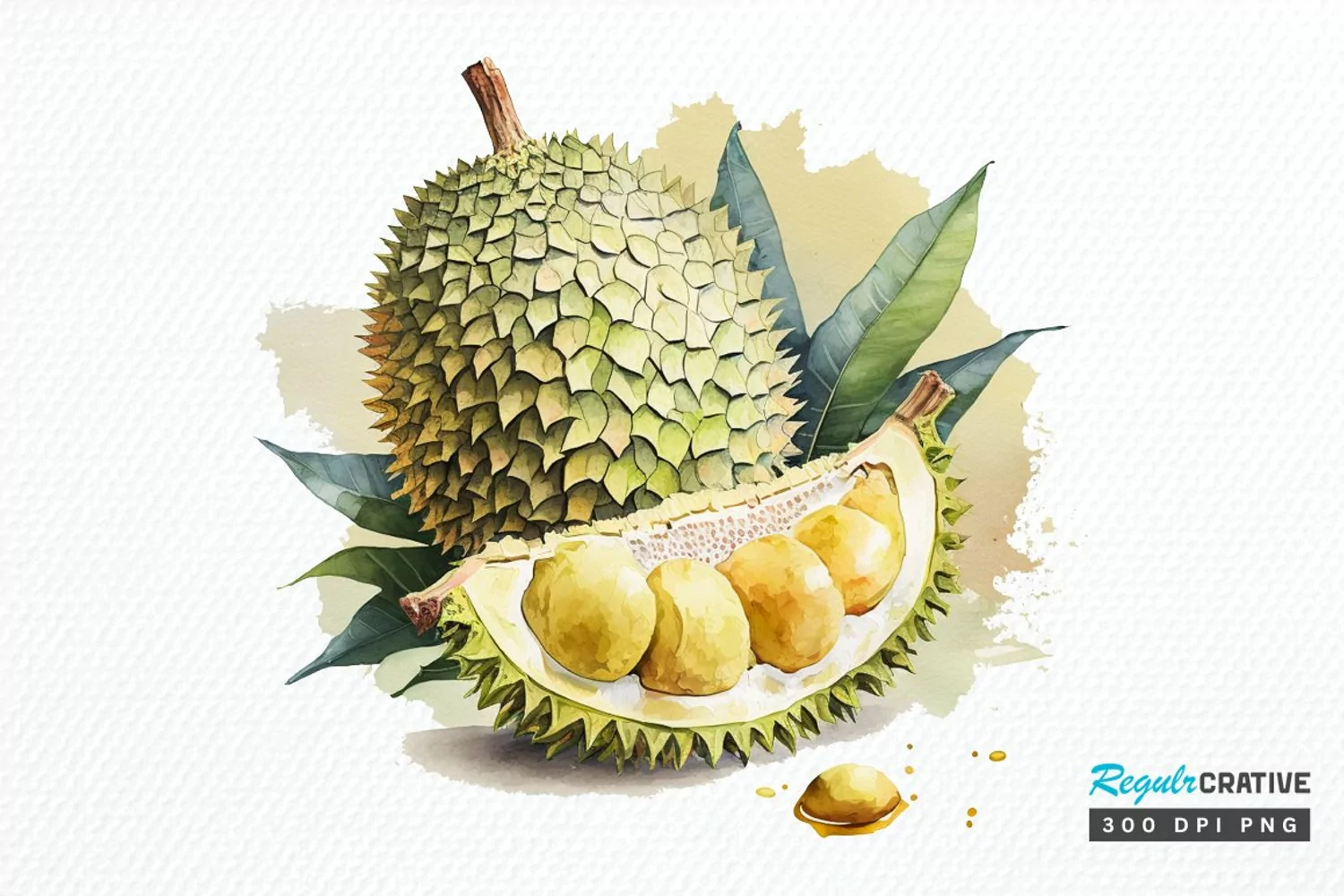 Watercolor Durian PNG Clipart product image 1