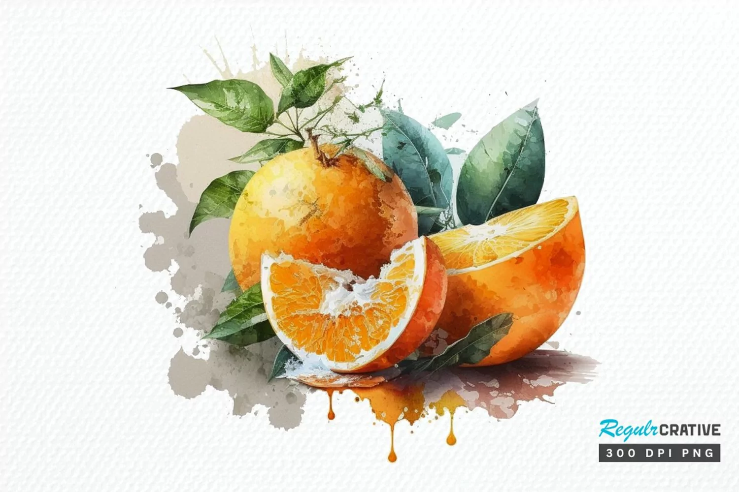 Watercolor Oranges PNG Clipart product image 1
