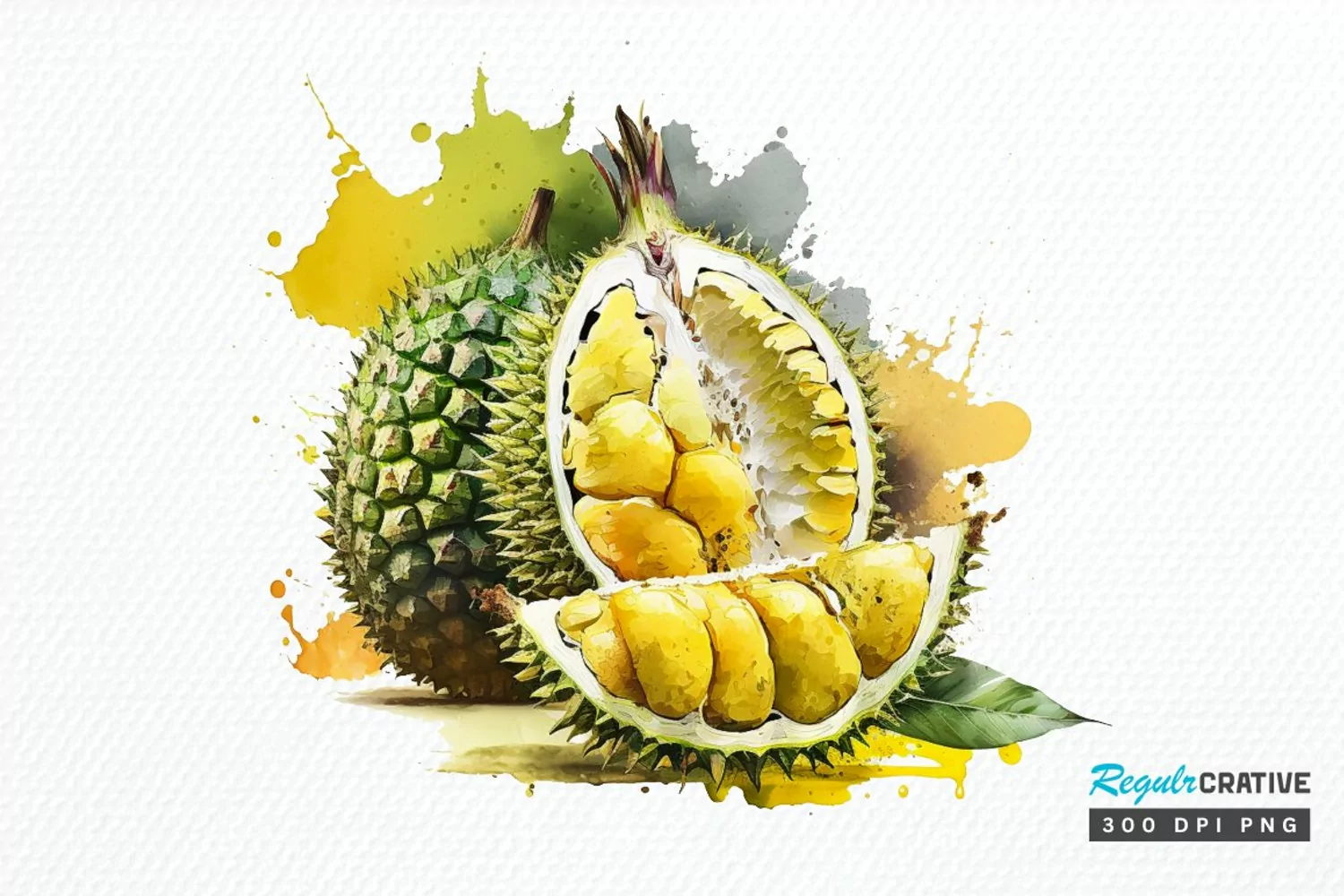 Watercolor Durian PNG Clipart product image 1