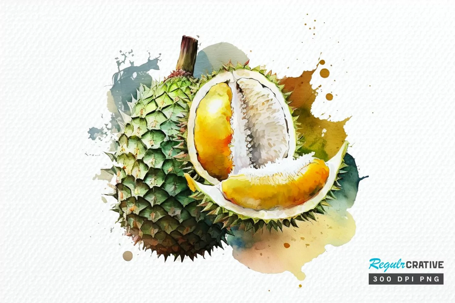 Watercolor Durian PNG Clipart product image 1