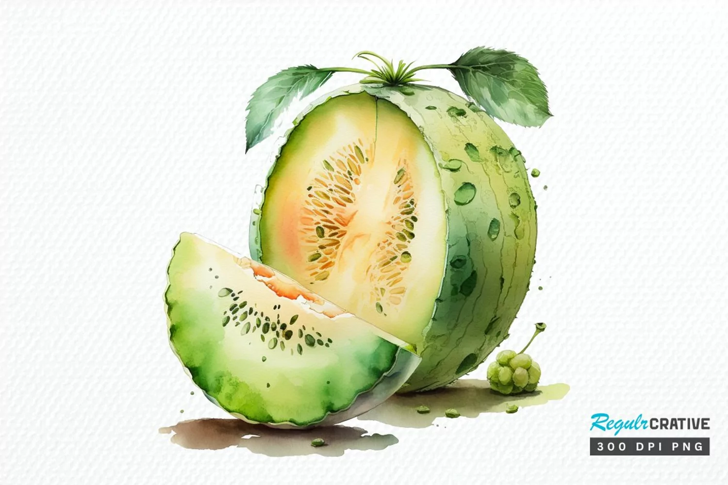 Watercolor Honeydew PNG Clipart product image 1