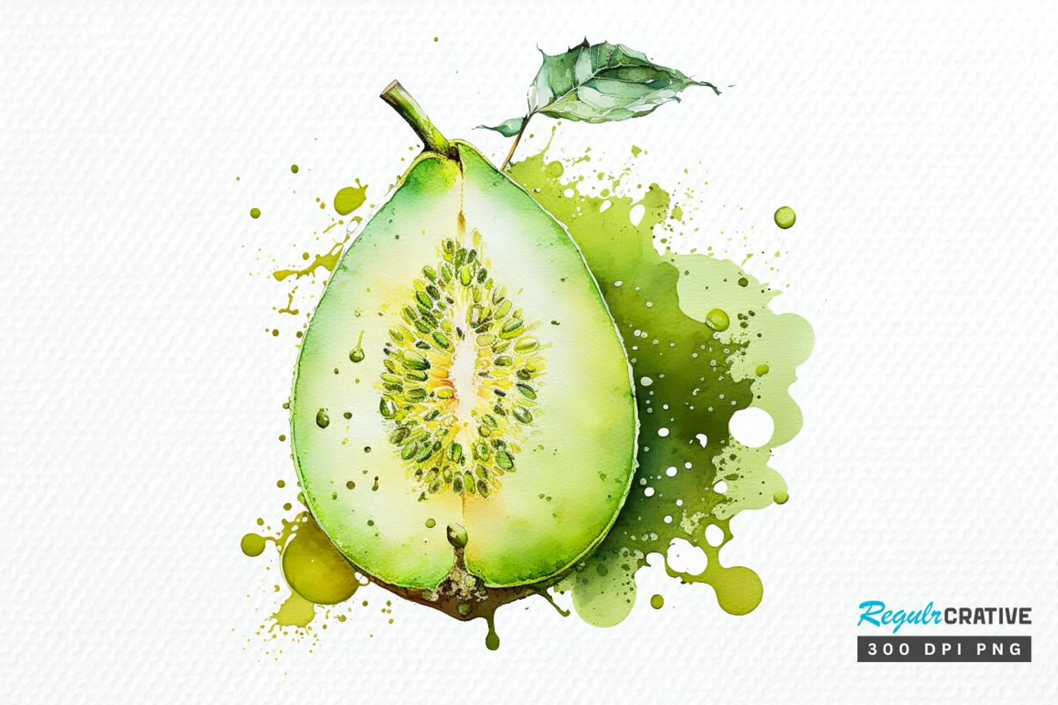 Watercolor Honeydew PNG Clipart product image 1