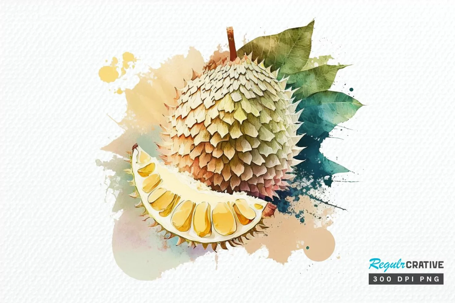 Watercolor Durian PNG Clipart product image 1