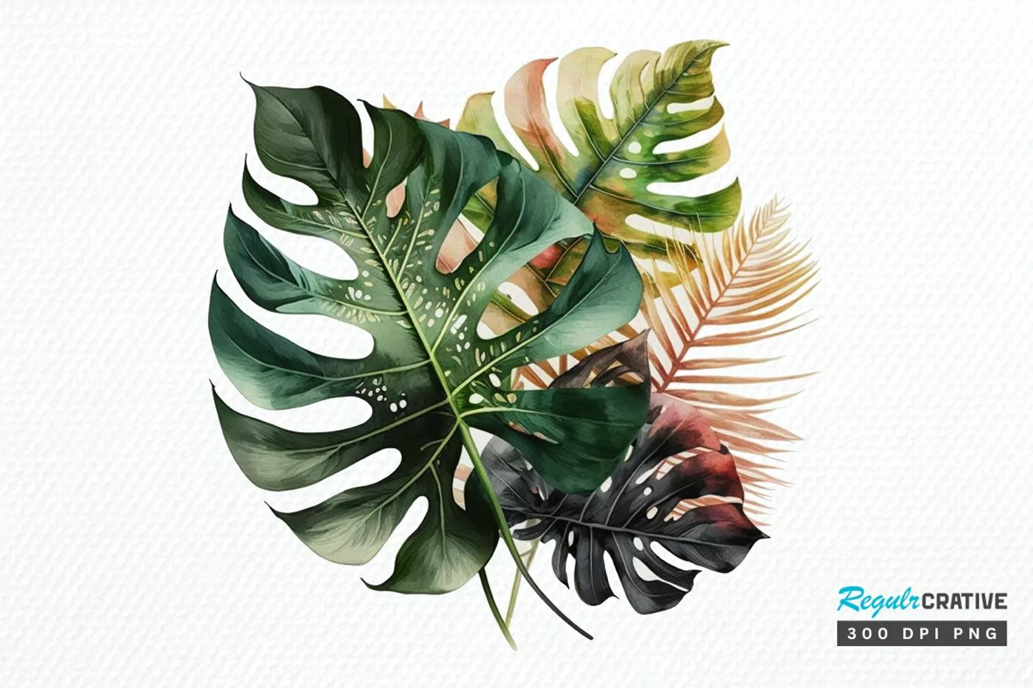 Watercolor Tropical Leave PNG Clipart product image 1