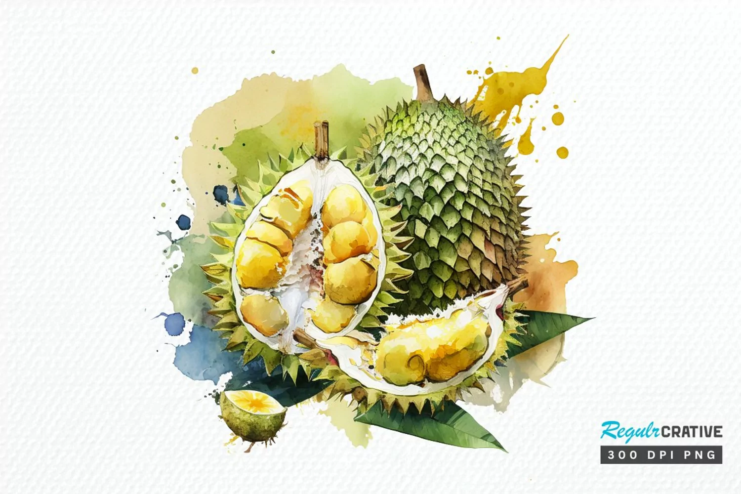 Watercolor Durian PNG Clipart product image 1