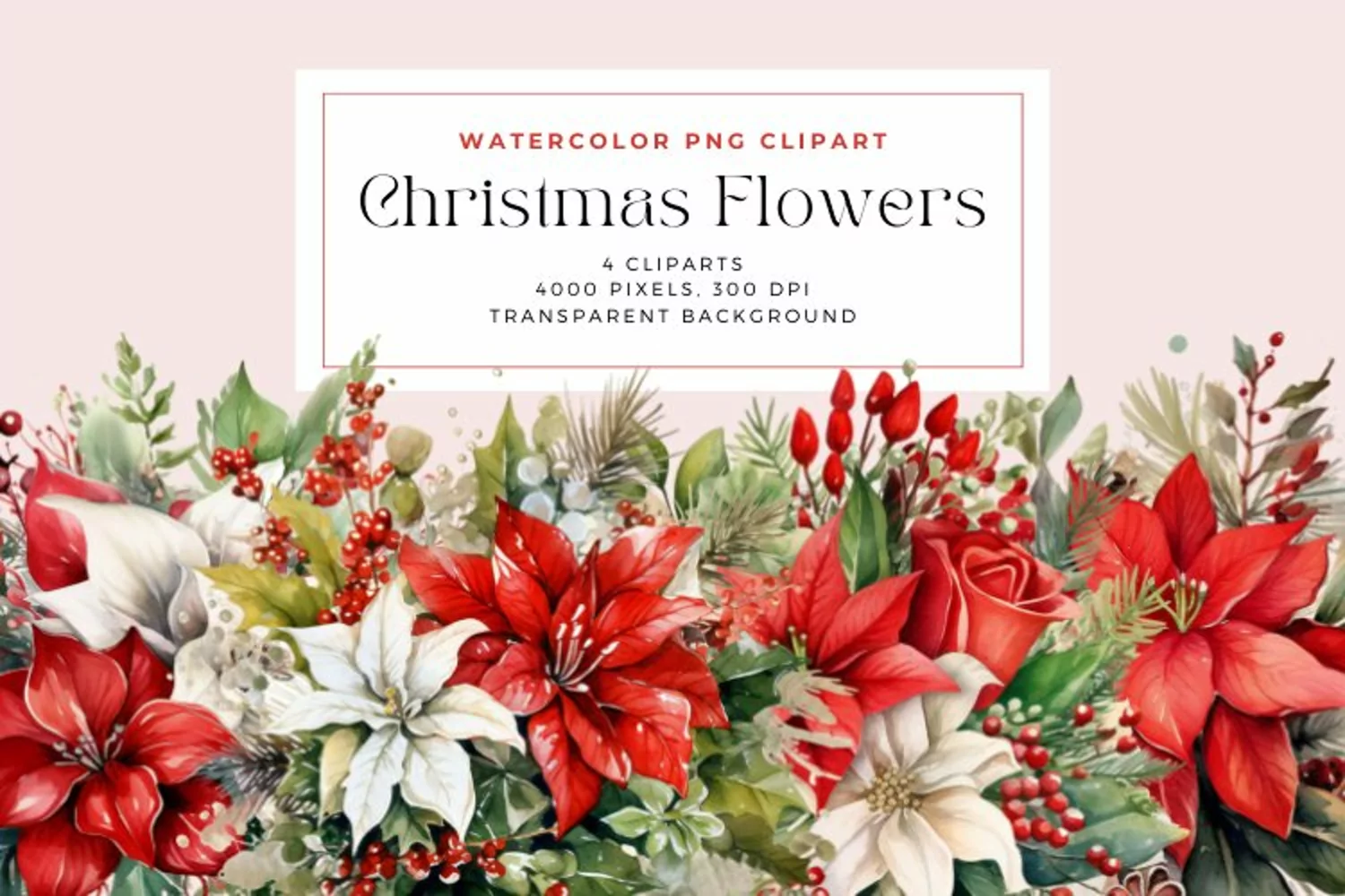4 Watercolor Christmas Flowers Clipart product image 1