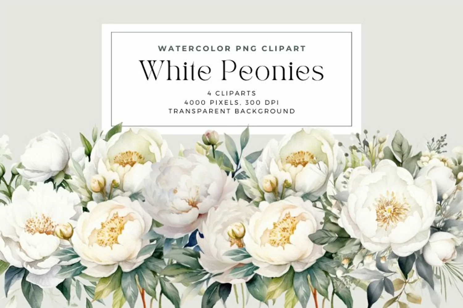 4 Watercolor White Peonies Clipart product image 1