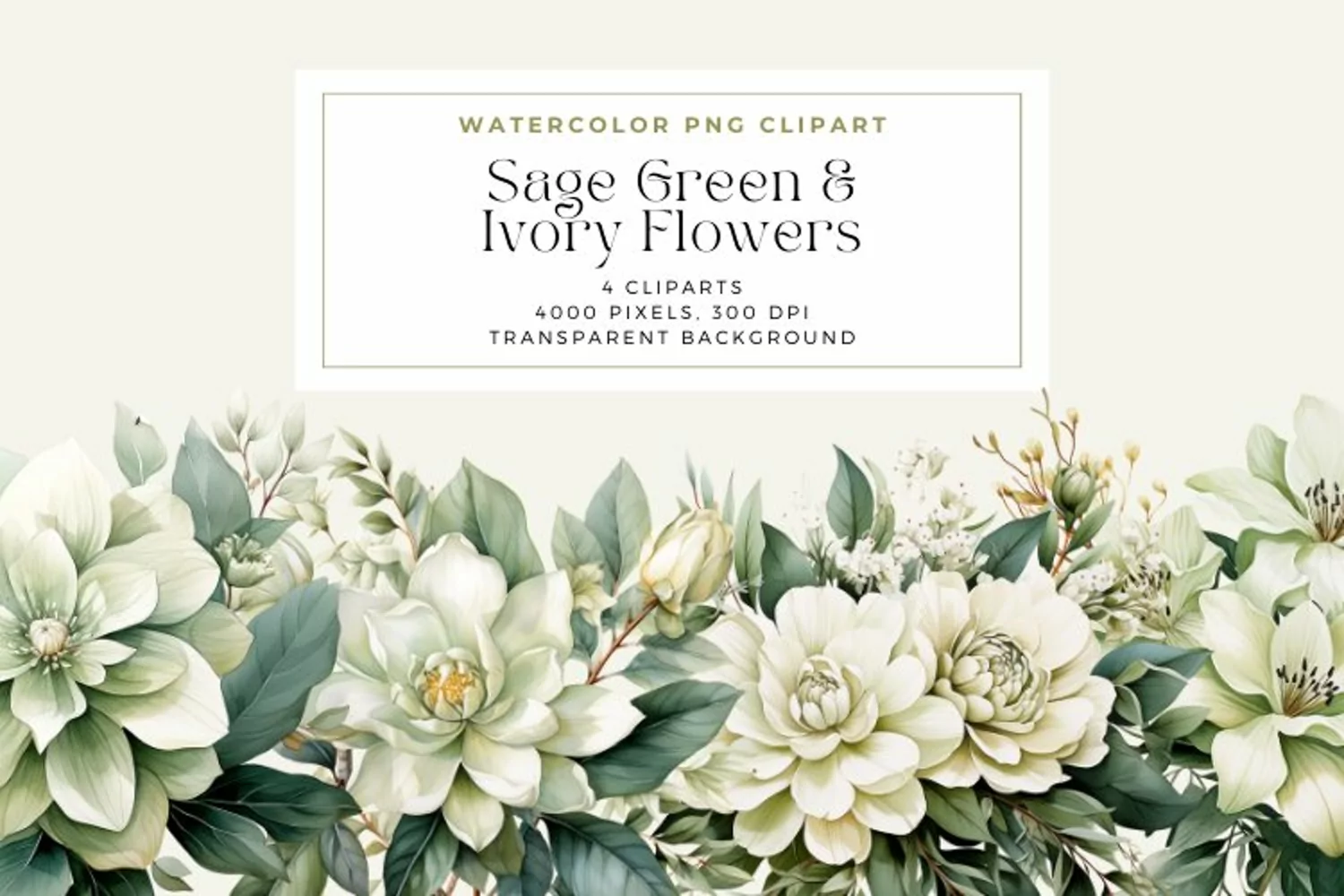 Watercolor Sage Green and Ivory Flowers Clipart product image 1