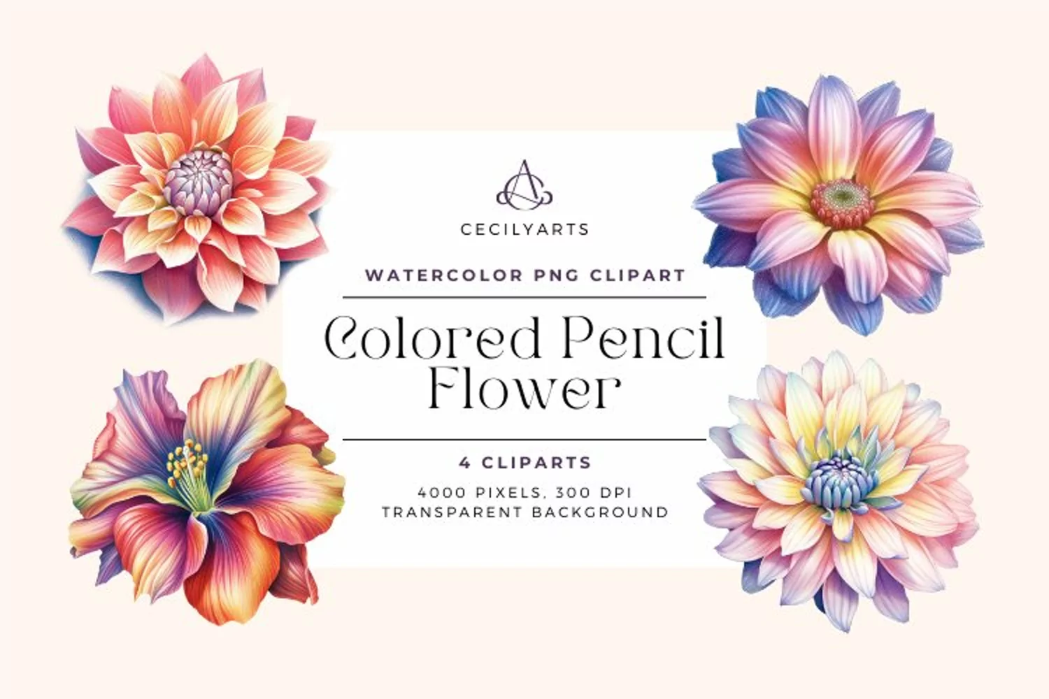 4 Watercolor Colored Pencil Flower Clipart product image 1