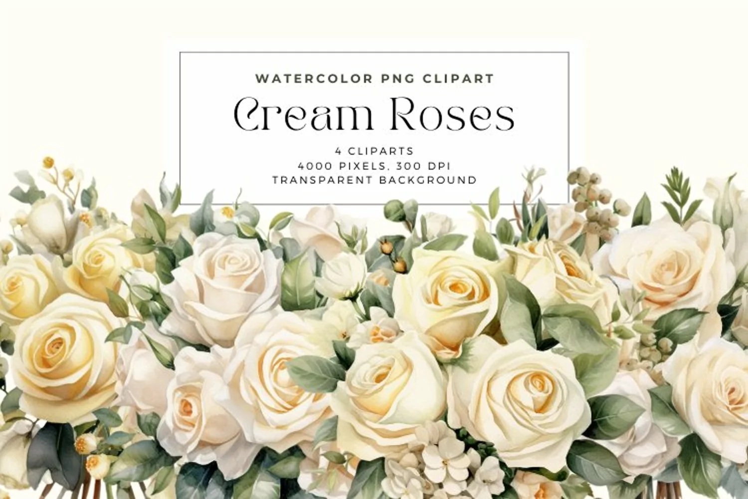 4 Watercolor Cream Roses Clipart product image 1