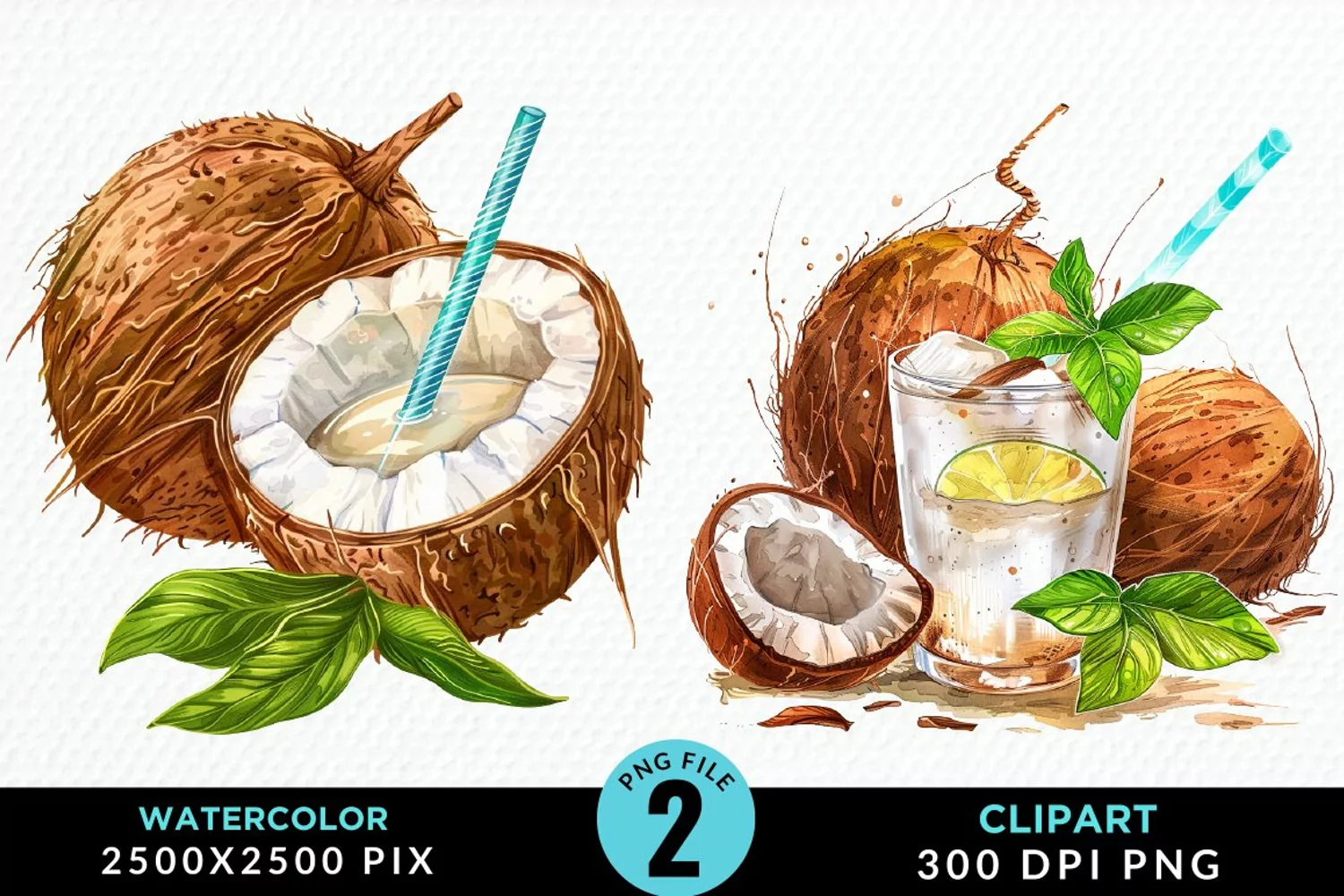Watercolor Coconut Drink Artwork Clipart product image 1