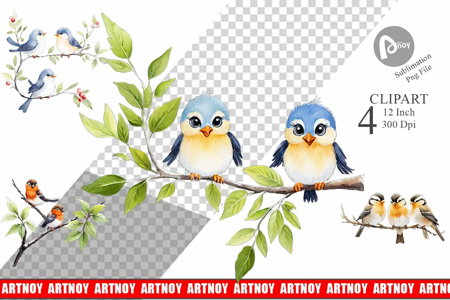 Clipart Watercolor Bird product image 1