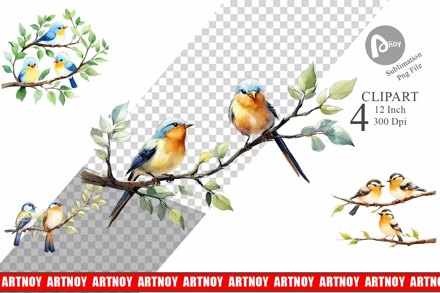 Clipart Watercolor Bird product image 1