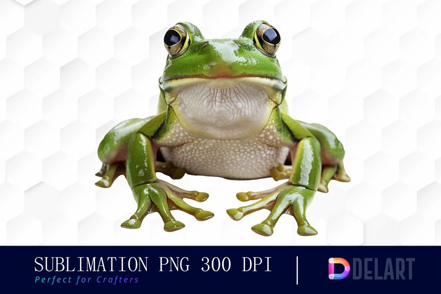 Cute Frog Illustration Clipart product image 1