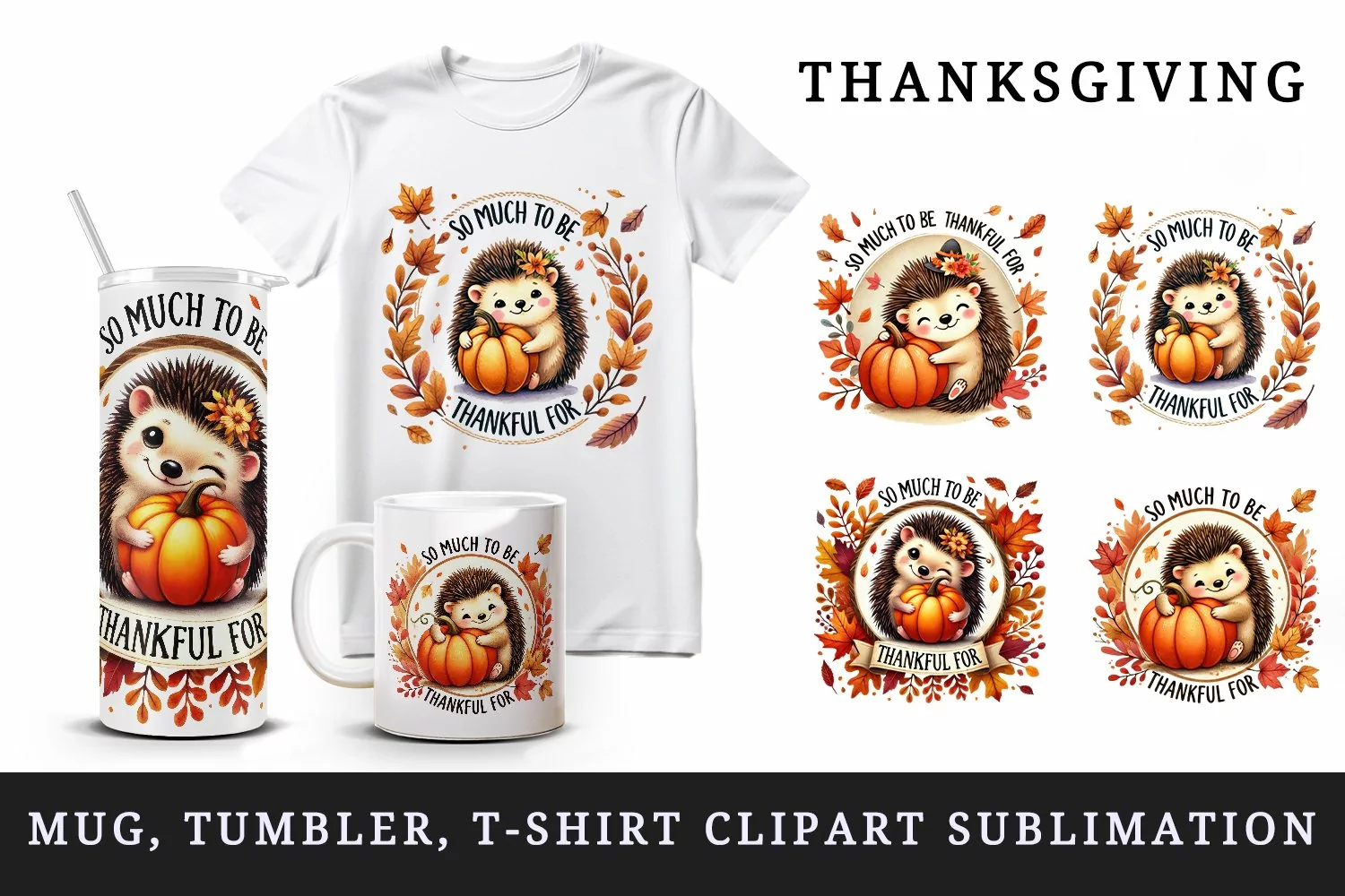 Watercolor cute hedgehog hugging pumpkin falling leaves quote Thanksgiving print tumbler skinny mug wrap clipart t-shirt sublimation printable design
