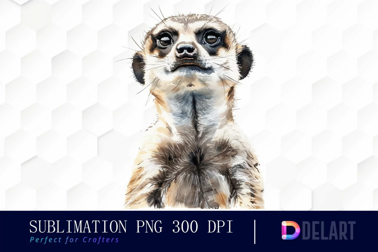 Cute Meerkat Graphics Clipart product image 1