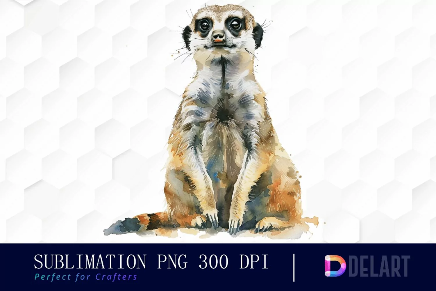 Cute Meerkat Graphics Clipart product image 1