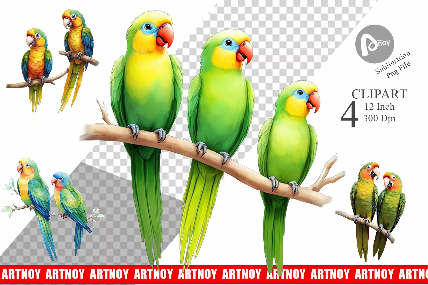 Clipart Watercolor Parrot product image 1