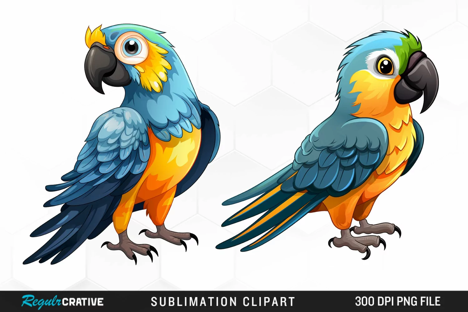 Watercolor Cute Parrot Clipart product image 1