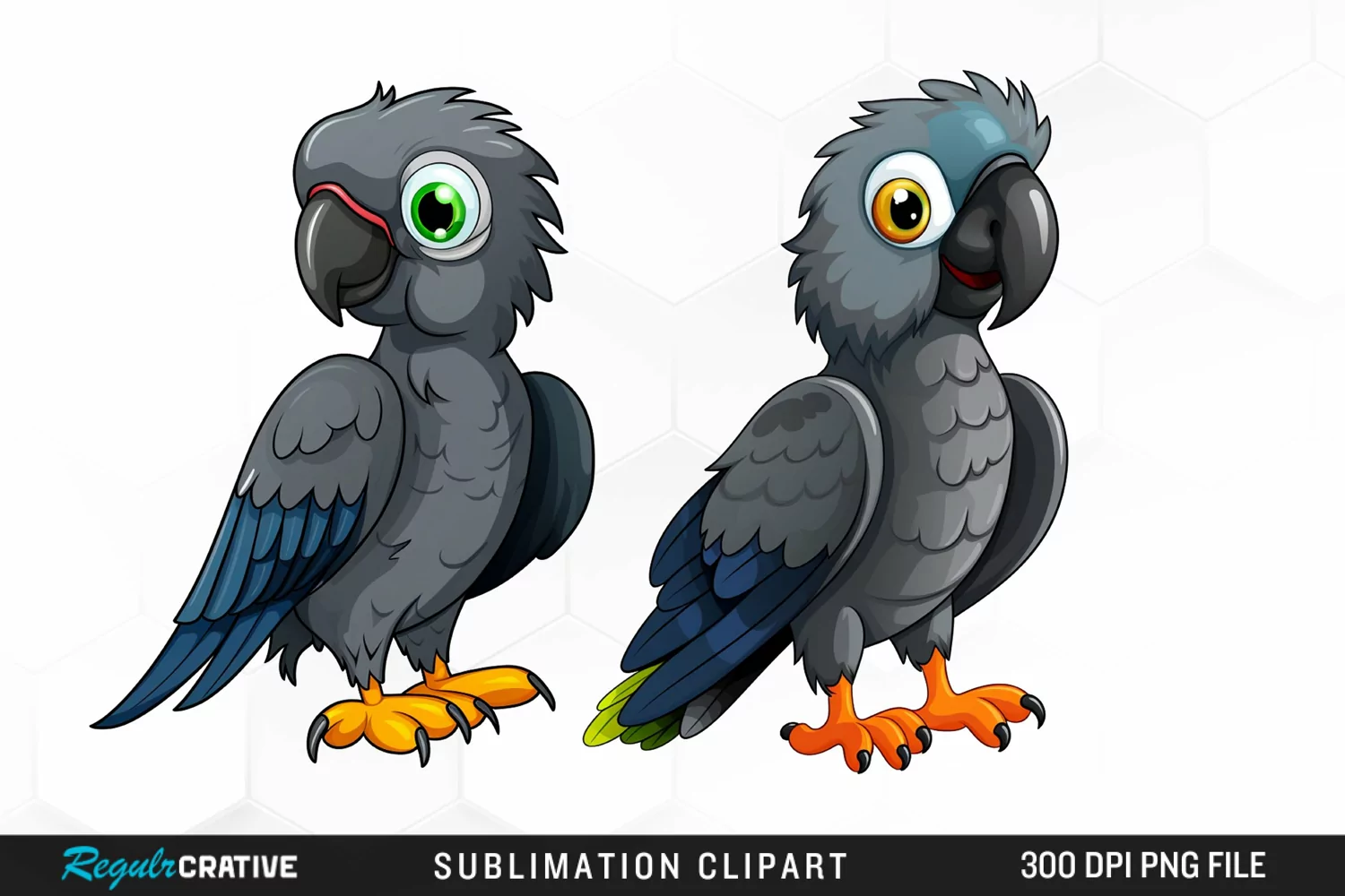 Cute Parrot Sublimation PNG Clipart product image 1