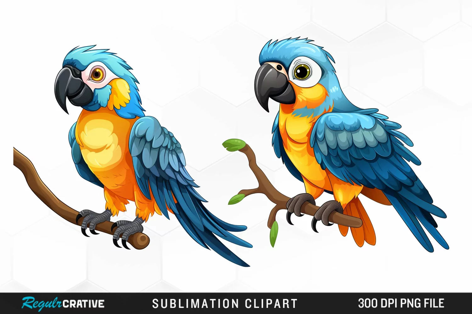 Watercolor Cute Parrot Clipart product image 1