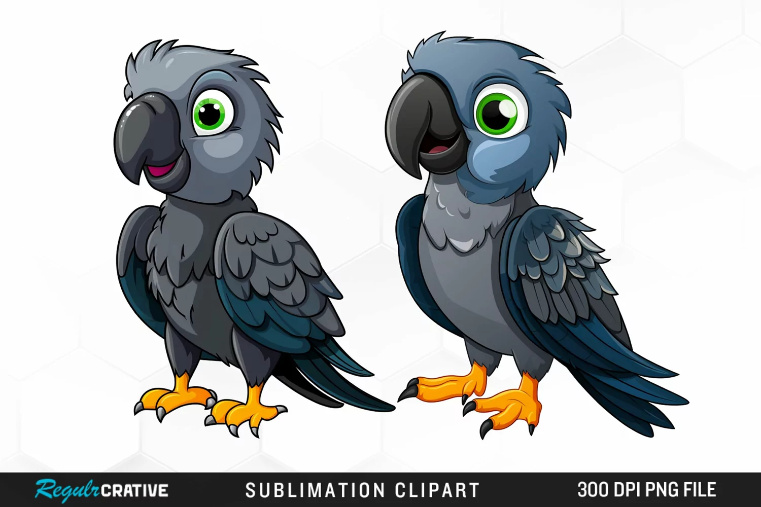 Cute Parrot Sublimation PNG Clipart product image 1