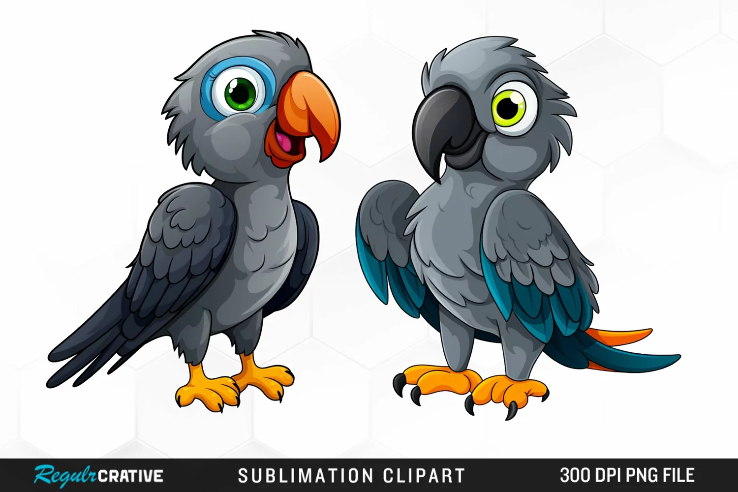 Cute Parrot Sublimation PNG Clipart product image 1