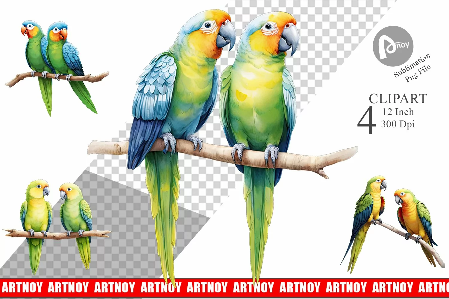 Clipart Watercolor Parrot product image 1