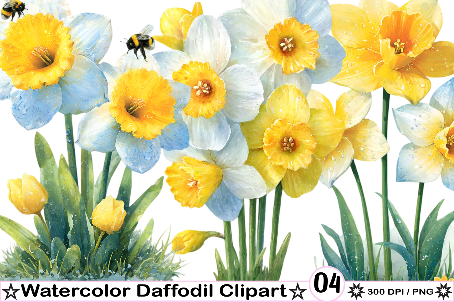Watercolor Daffodil Clipart product image 1