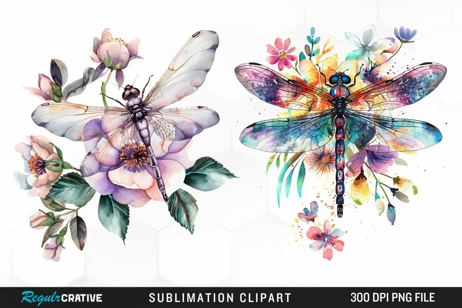 Watercolor Dragonfly Floral Art Clipart product image 1