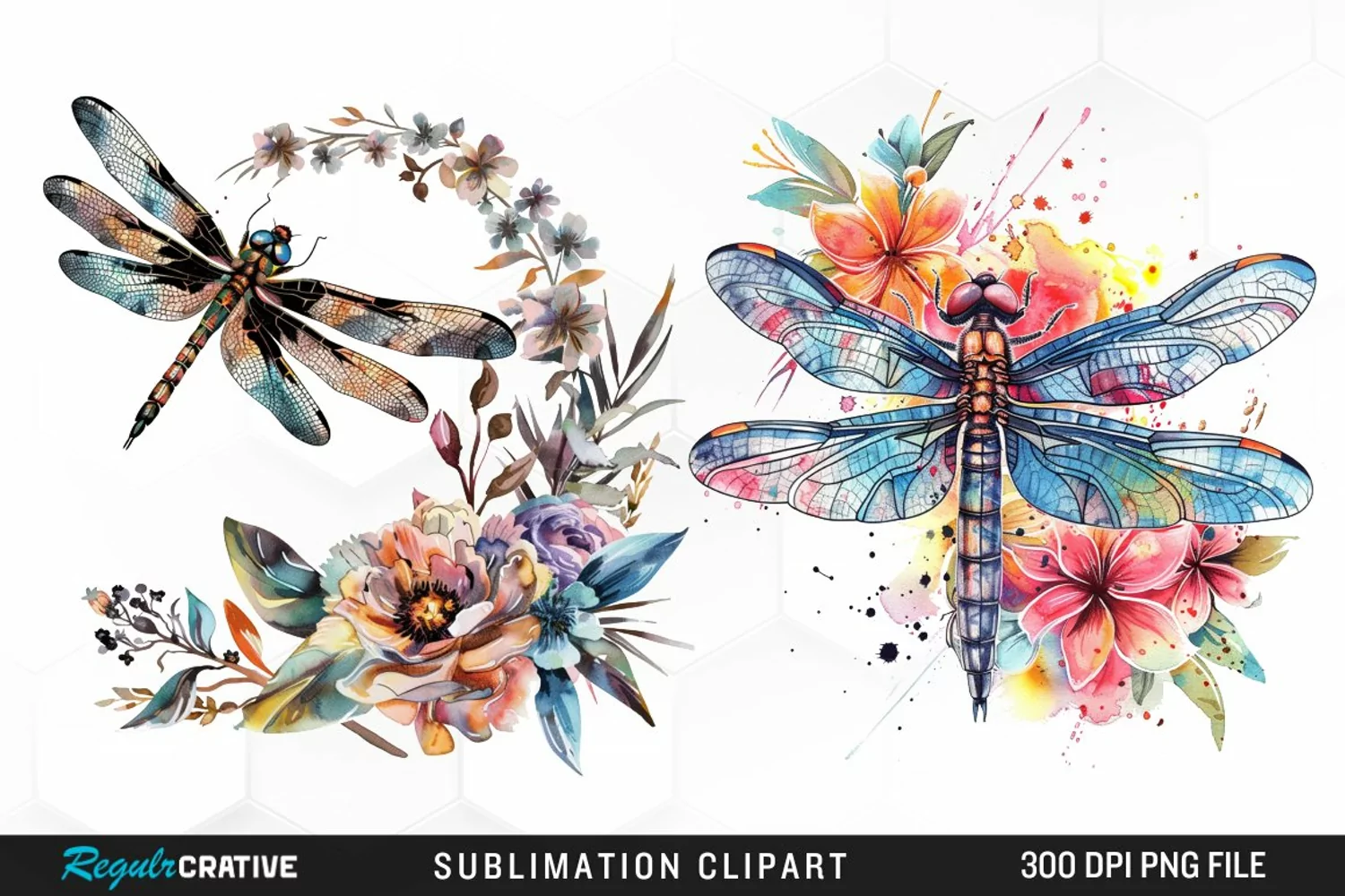 Watercolor Dragonfly Floral Clipart product image 1