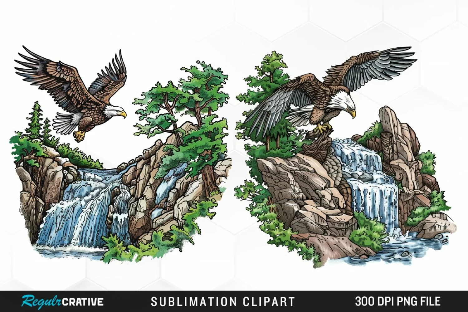 Watercolor Eagle Sublimation PNG Clipart product image 1