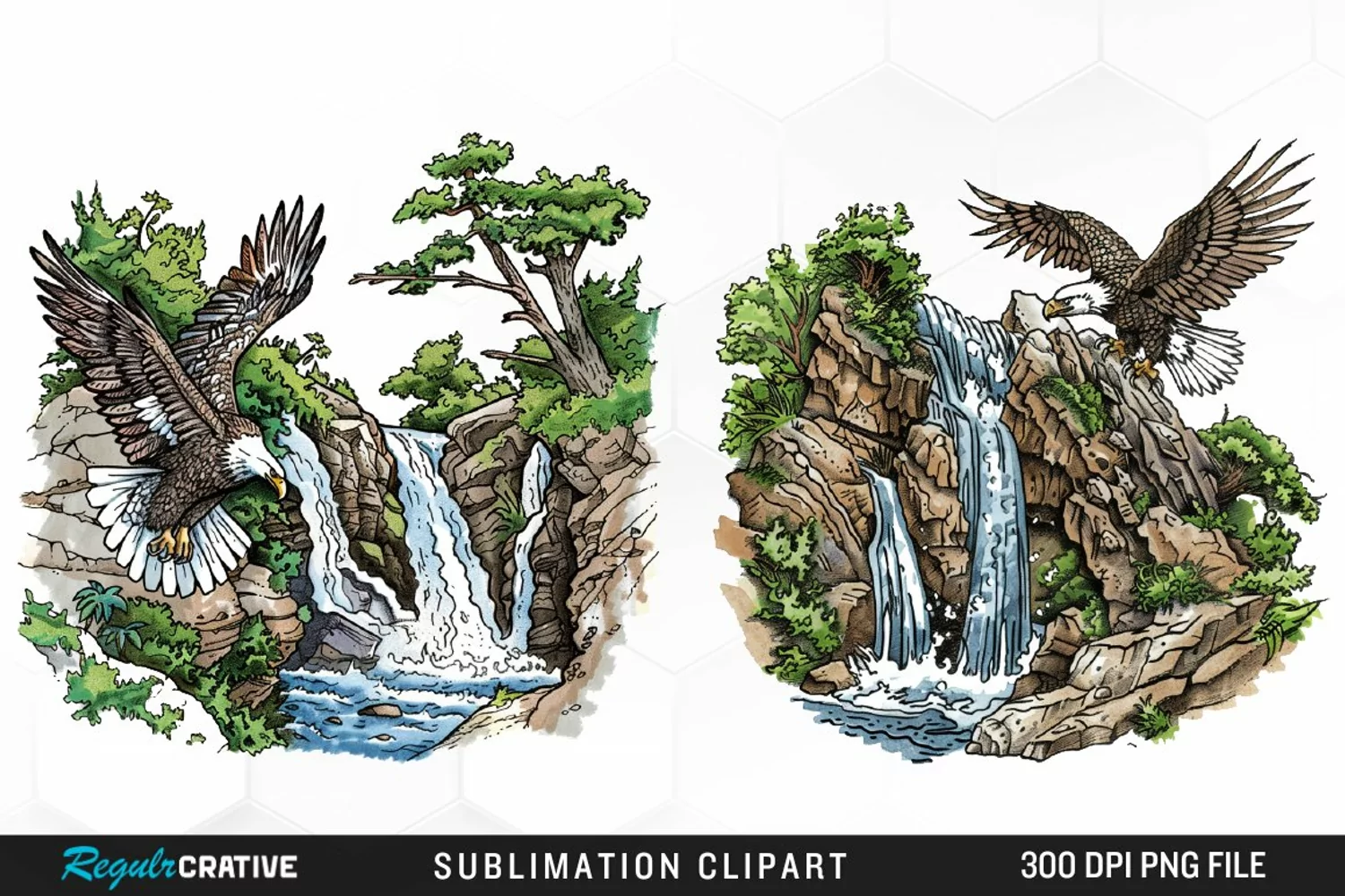 Watercolor Eagle Illustration PNG Clipart product image 1