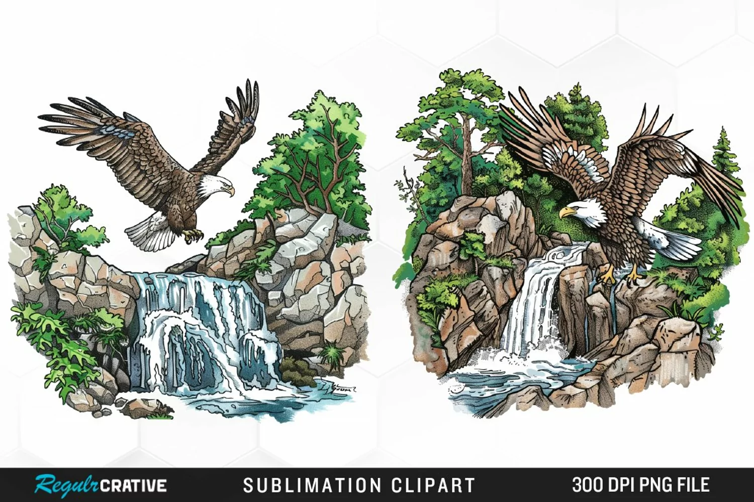 Watercolor Eagle Illustration PNG Clipart product image 1