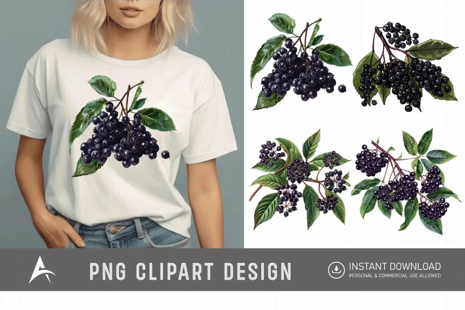 Watercolor Elderberry Clipart product image 1