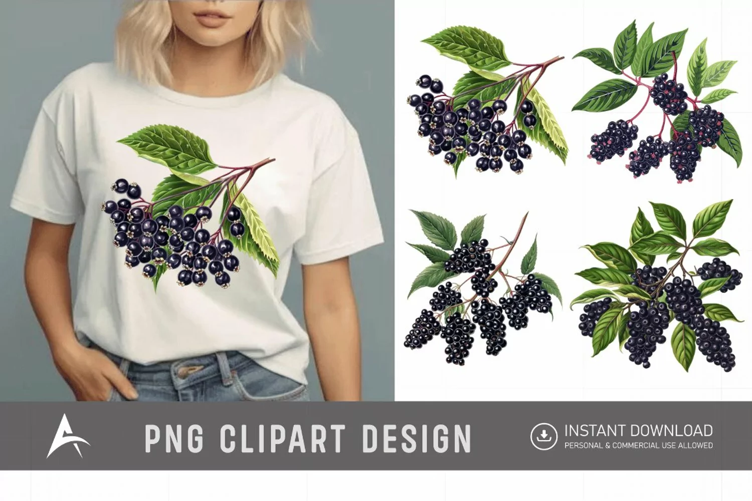Watercolor Elderberry Clipart product image 1