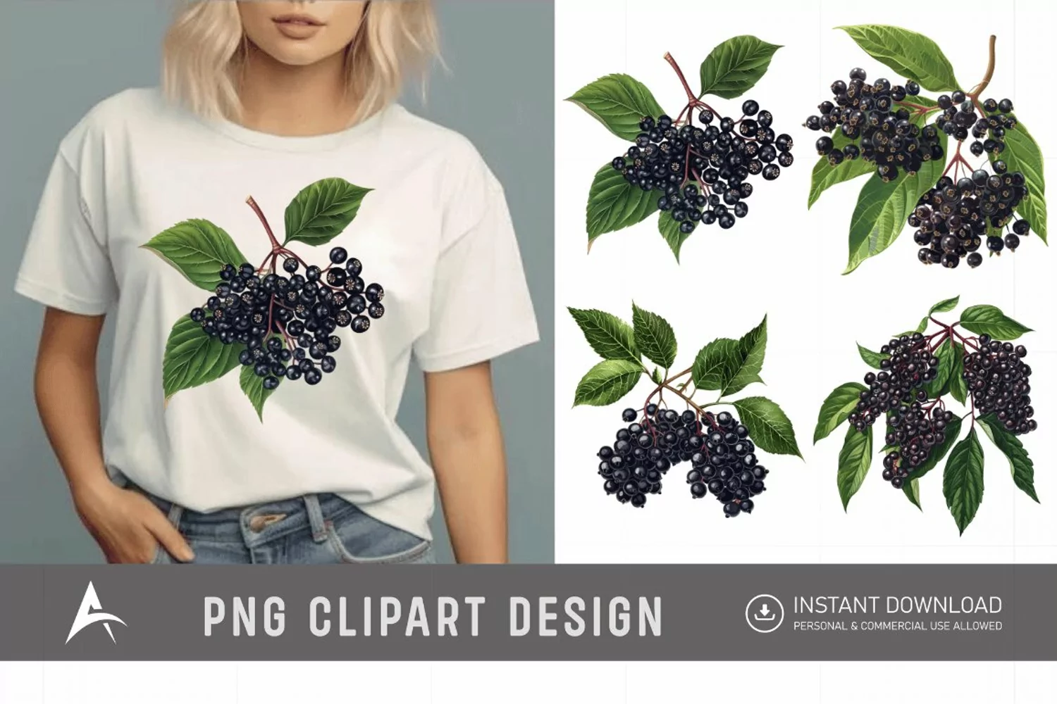 Watercolor Elderberry Clipart product image 1