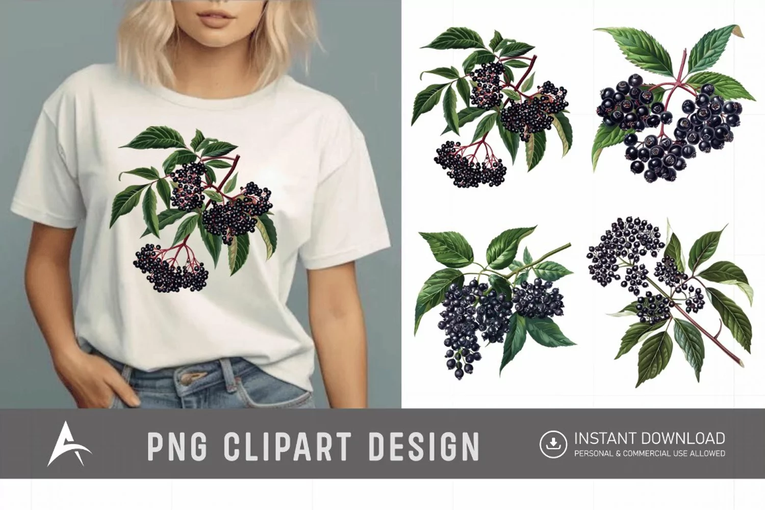 Watercolor Elderberry Clipart product image 1