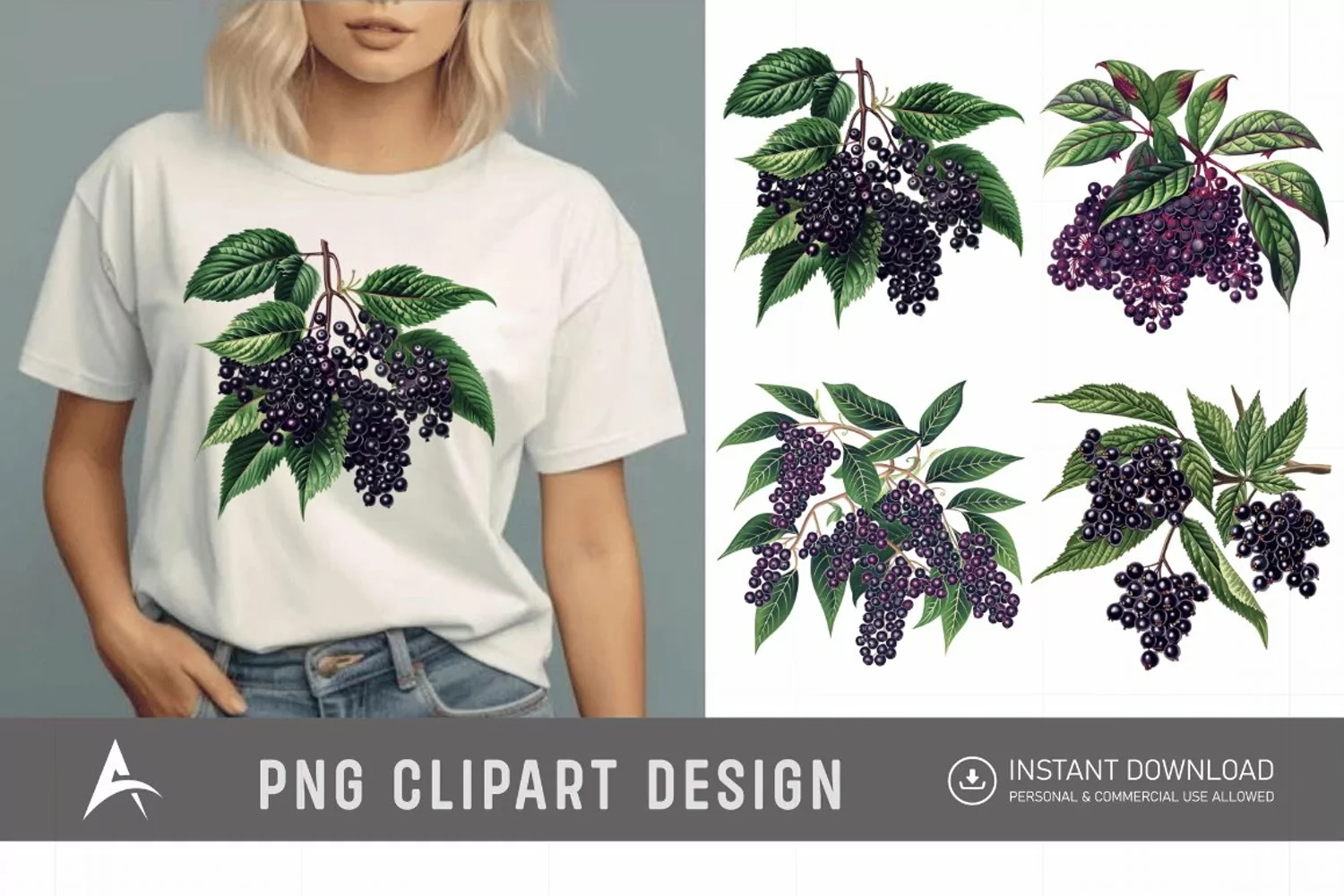 Watercolor Elderberry Clipart product image 1